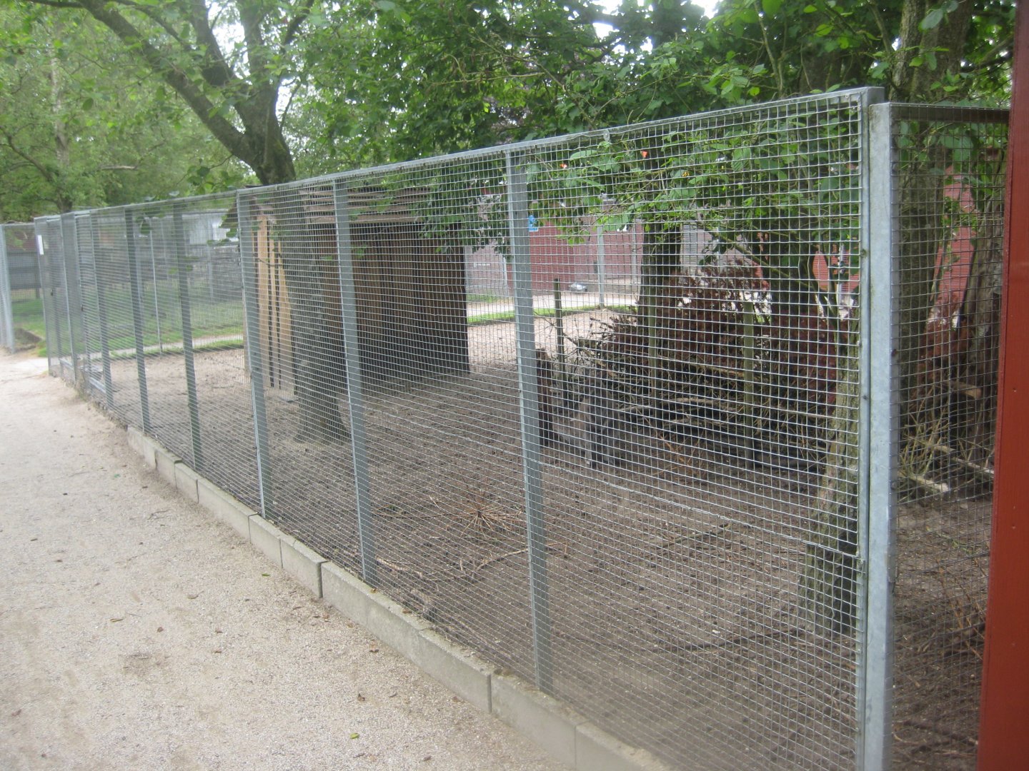 Hobro Minizoo - Wallaby exhibit