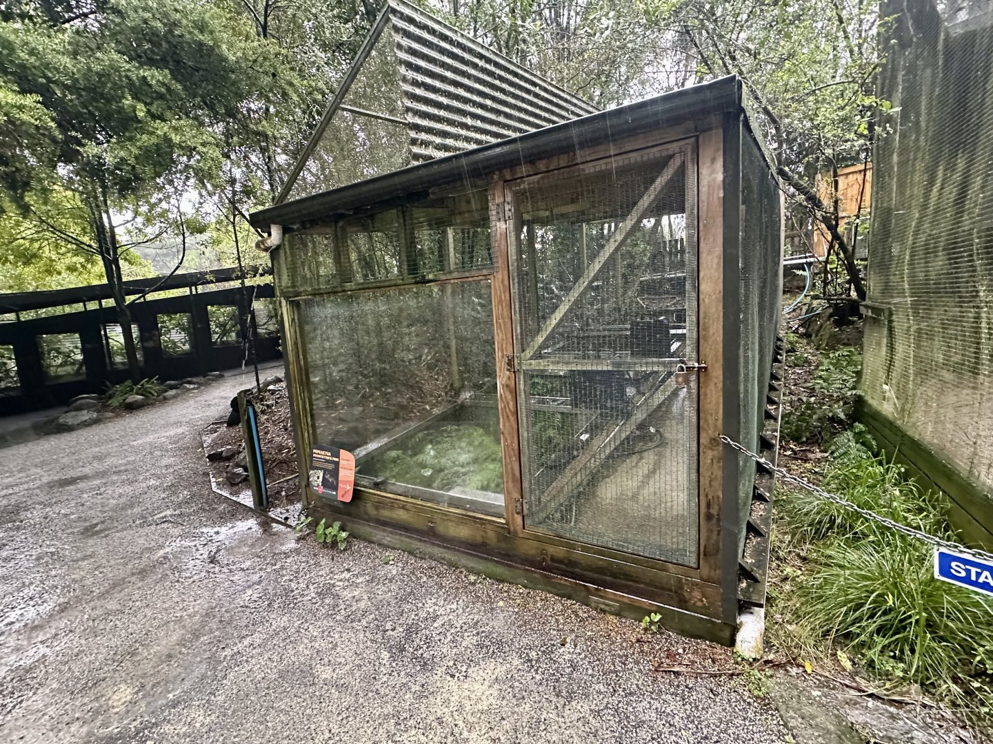 Hochstetter's Frog Exhibit