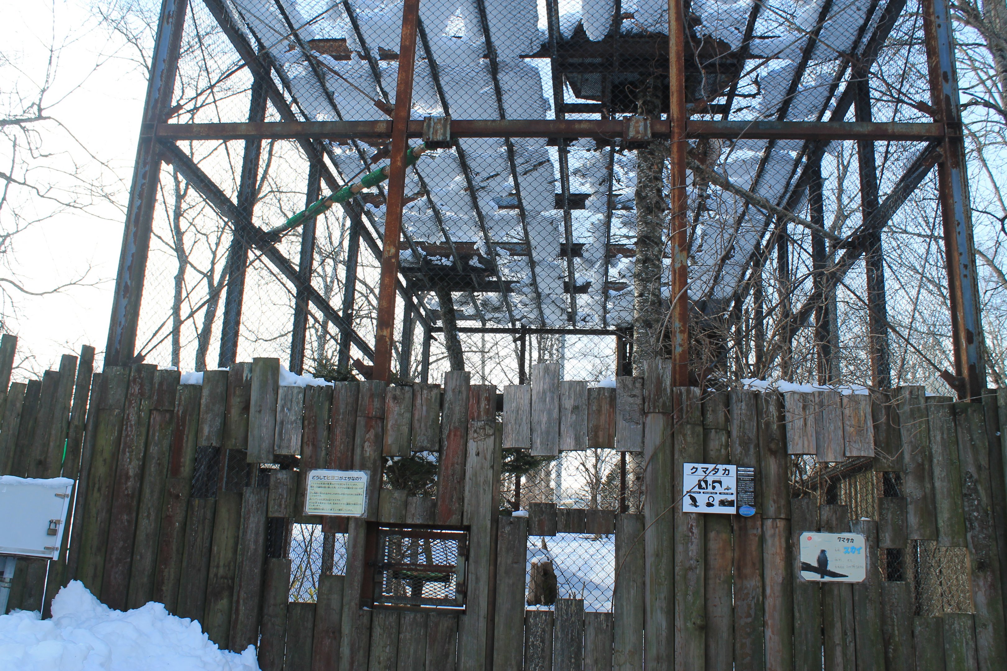 Hodgson's Hawk-Eagle aviary, Kushiro Zoo