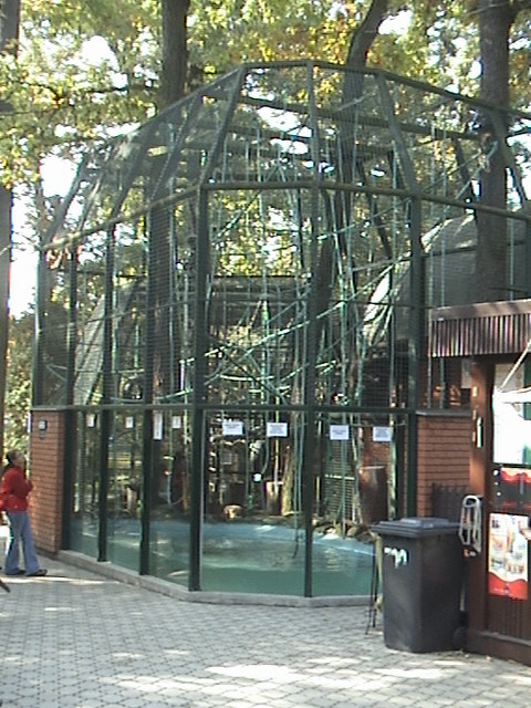 Hodonin Zoo Lar Gibbon