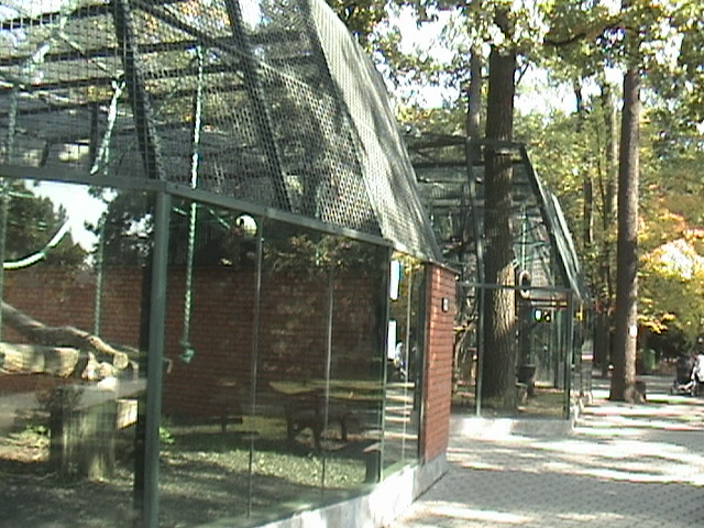 Hodonin Zoo Primate Outdoor Enclosures