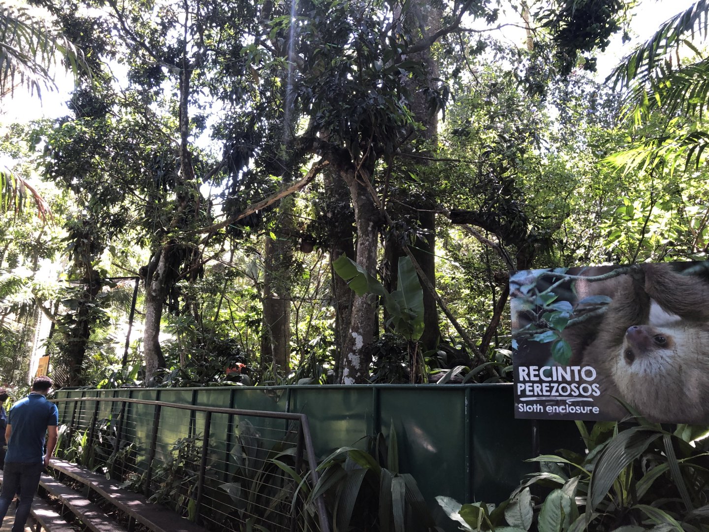 Hoffman's Two-toed Sloth Enclosure