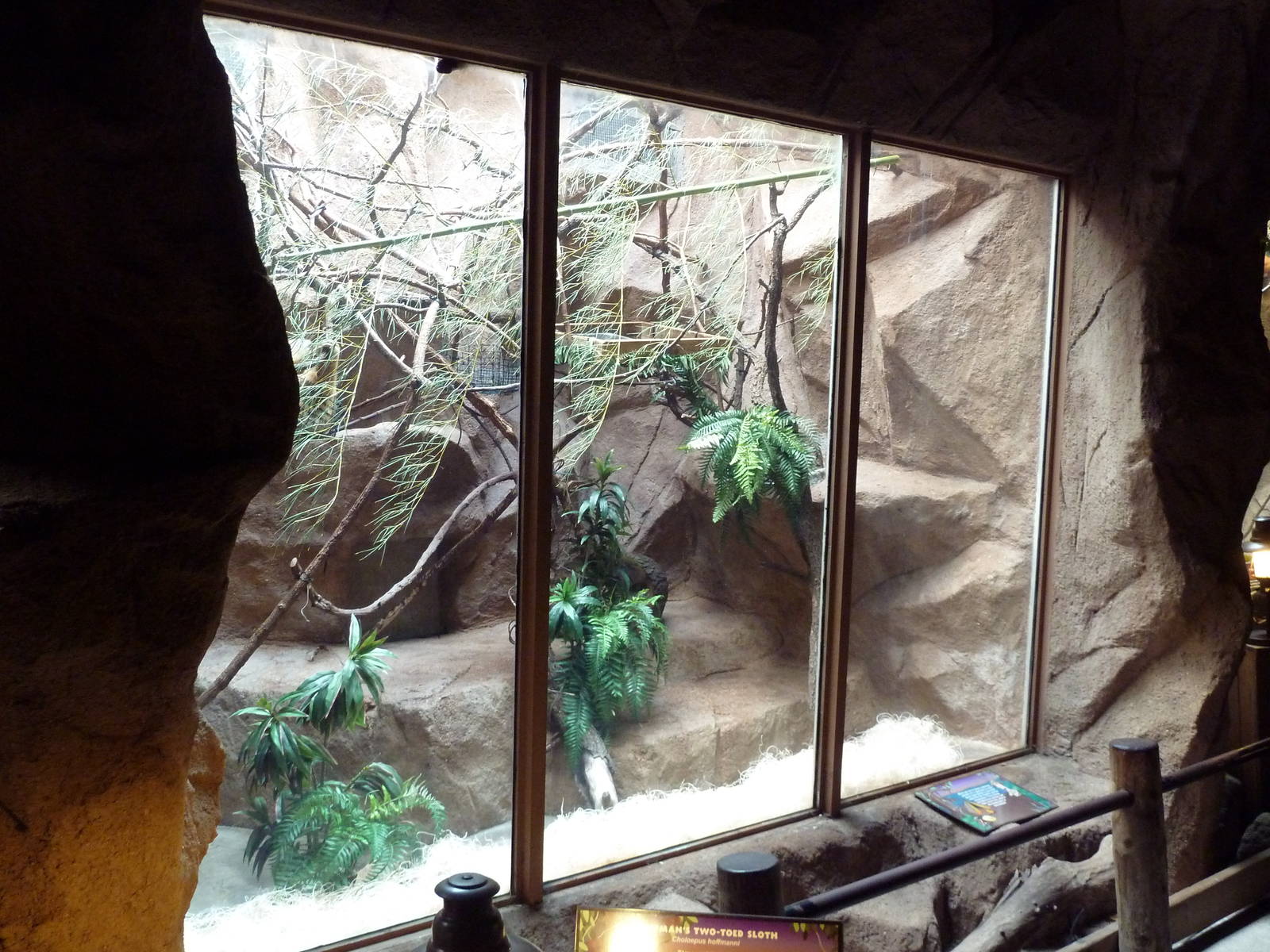 Hoffman's Two-Toed Sloth Exhibit