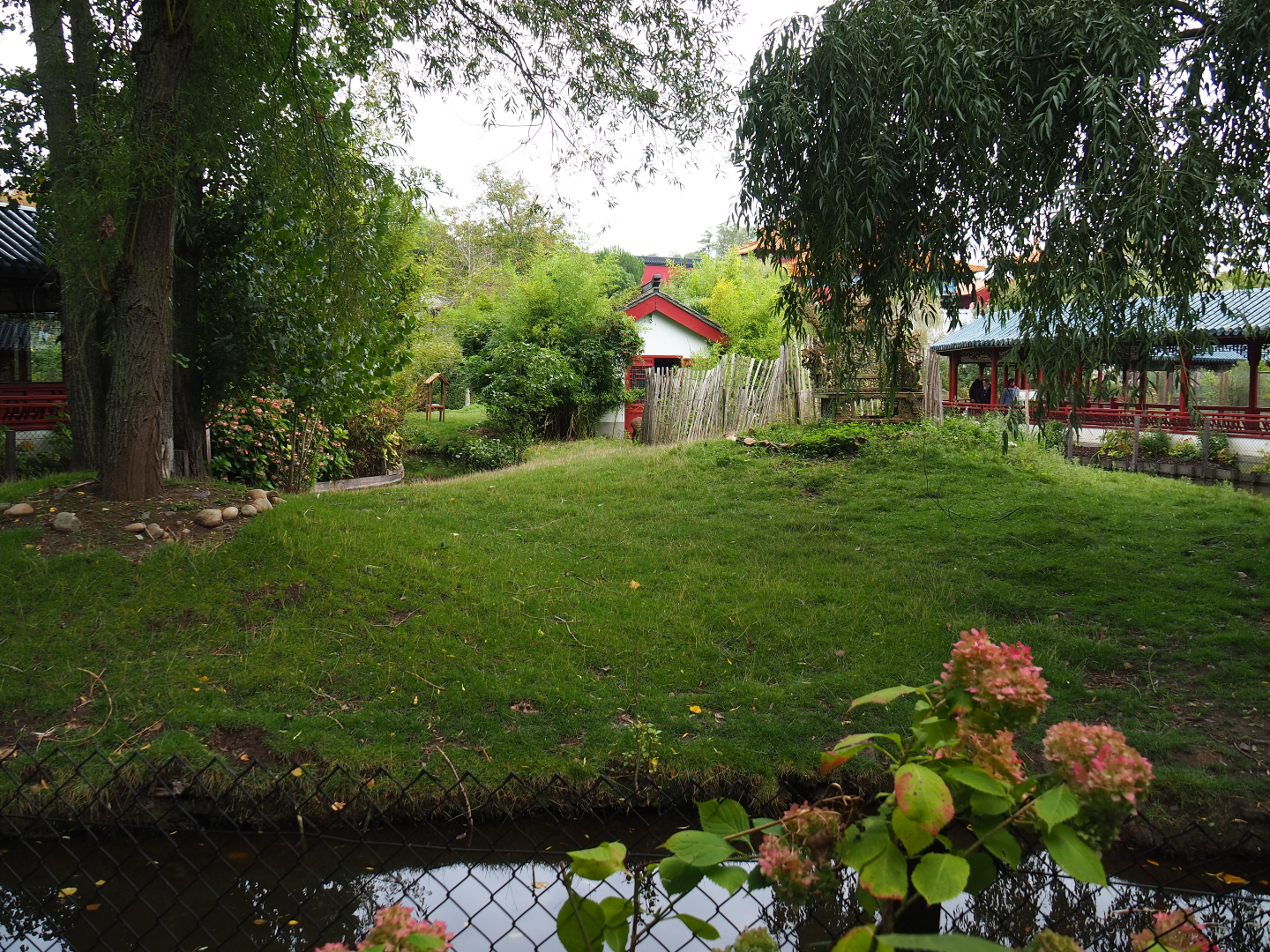 Hog deer and White-naped crane exhibit, 2019-10-05