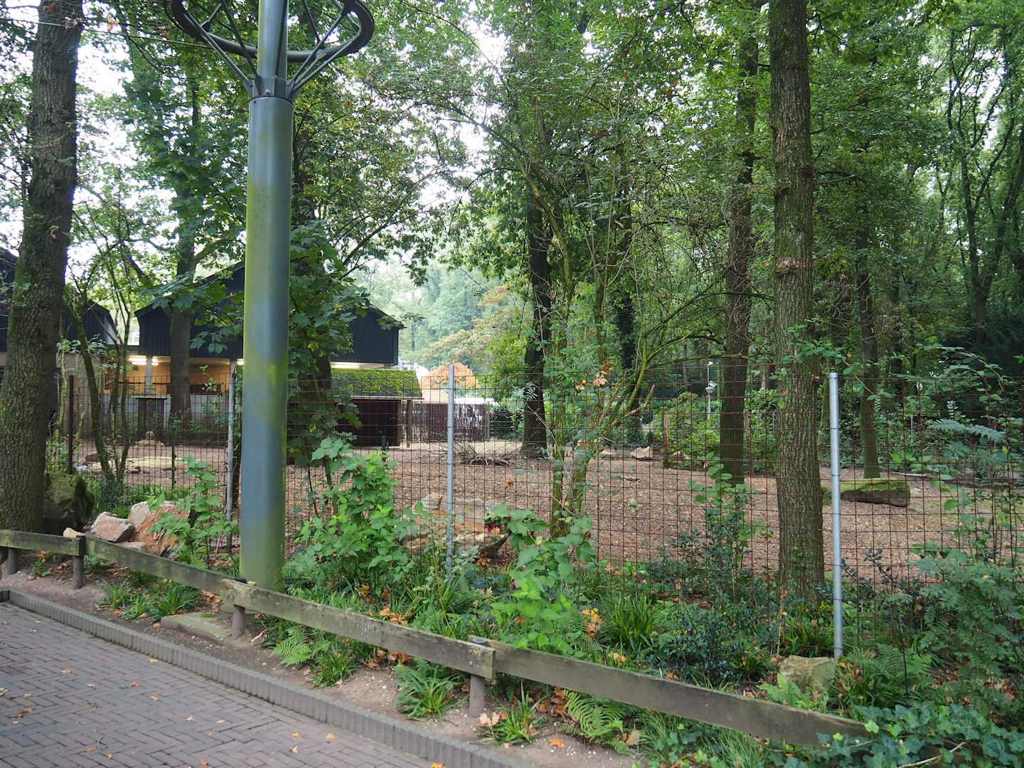 Hog deer paddock, 2023-10-07