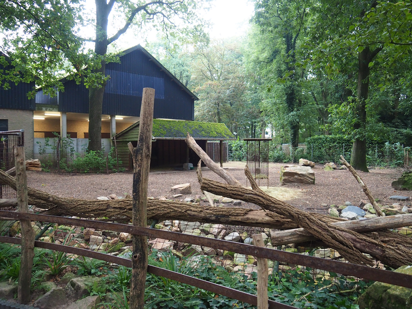 Hog deer paddock, 2023-10-07