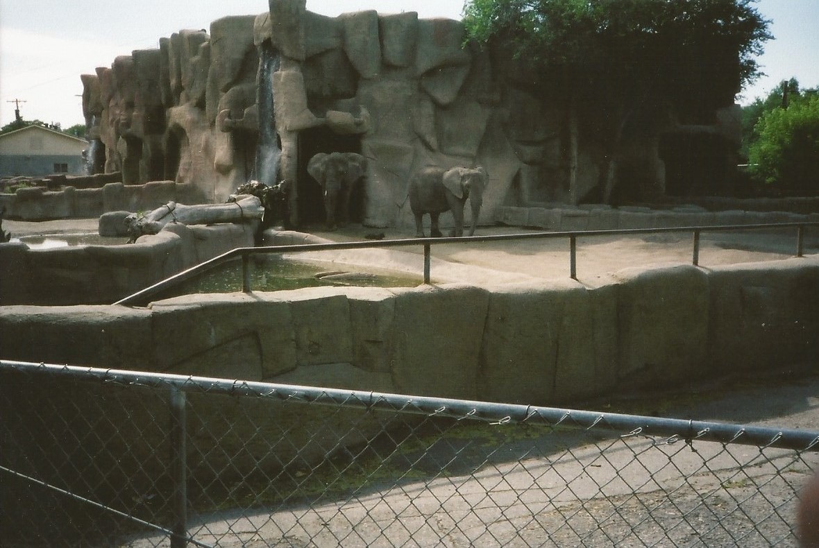 Hogle Zoo 1999 - Animal Giants - African Elephants