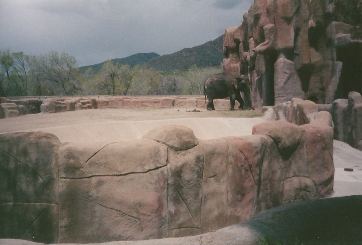 Hogle Zoo 1999 - Animal Giants - Asian Elephant