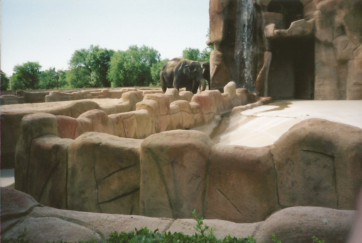 Hogle Zoo 1999 - Animal Giants - Asian Elephants