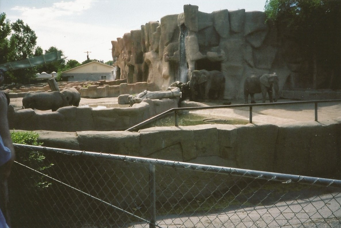 Hogle Zoo 1999 - Animal Giants - Future Denizens of Elephant Encounter