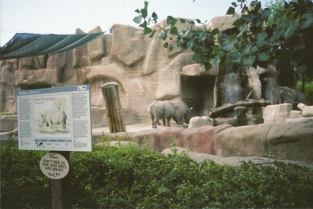 Hogle Zoo 1999 - Animal GIants - White Rhinos