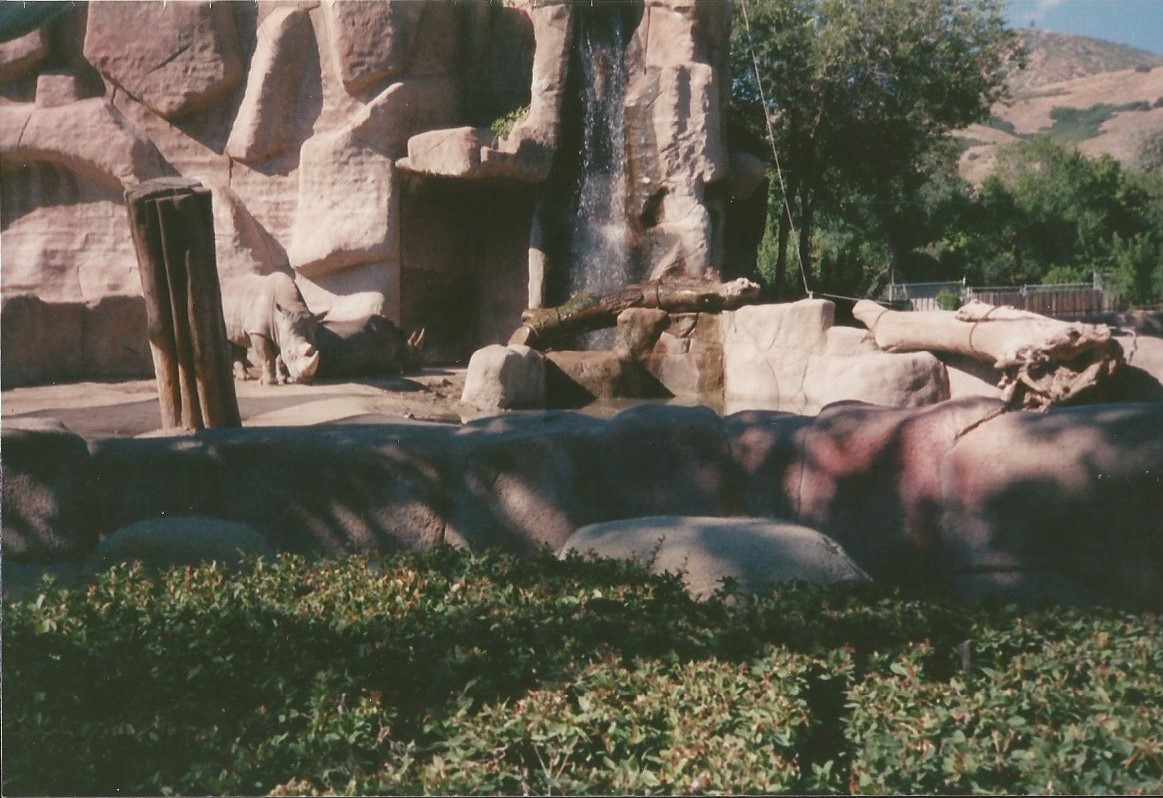 Hogle Zoo 1999 - Animal Giants - White Rhinos