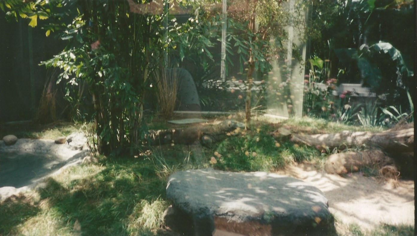Hogle Zoo 1999 - Tropical Garden - Komodo Dragon