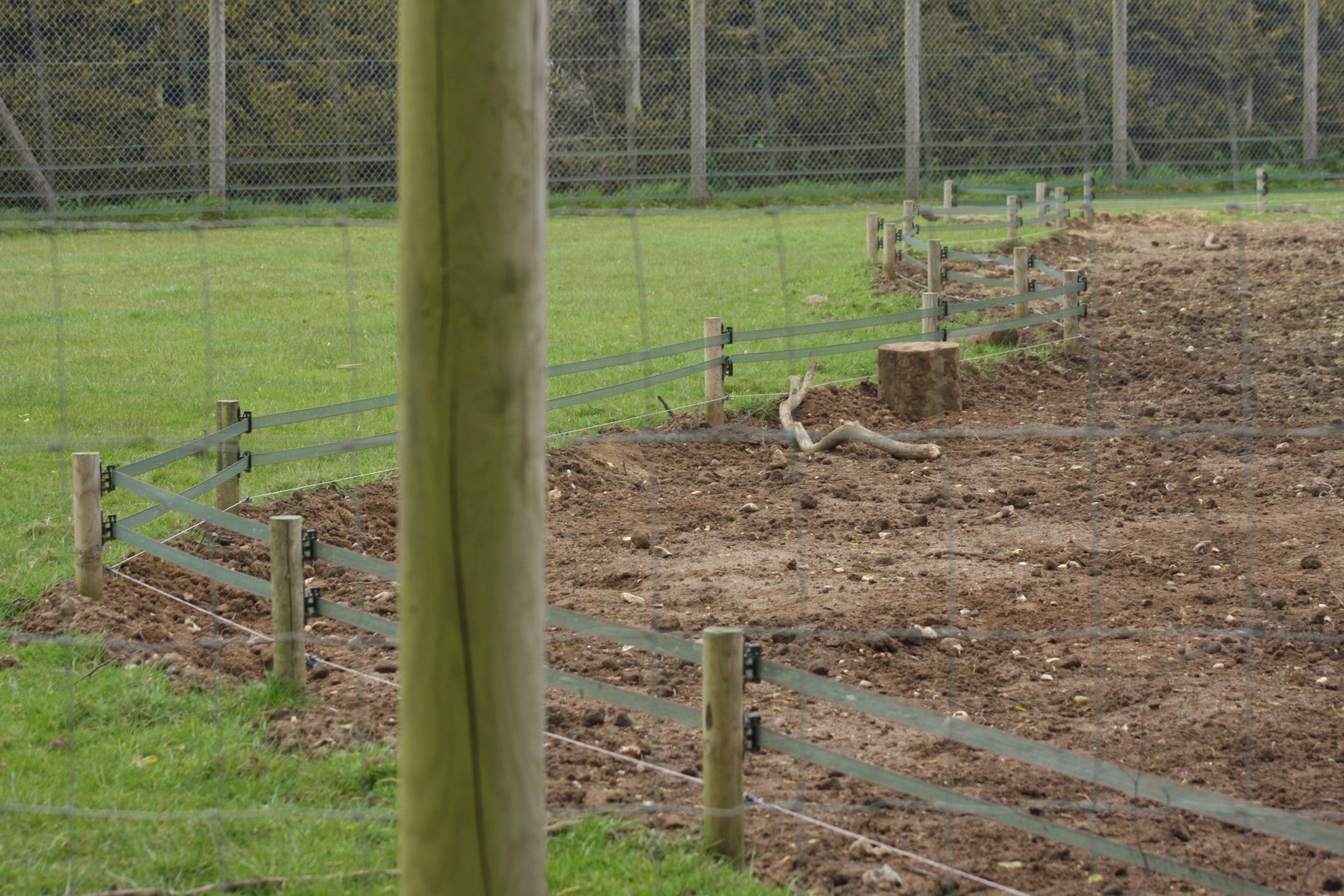 Hogsnorts Electric Fence