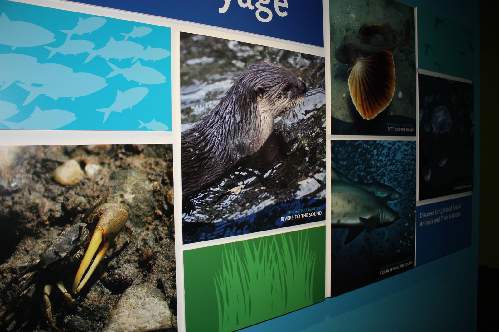 Hokin Family Sound Voyage Galleries