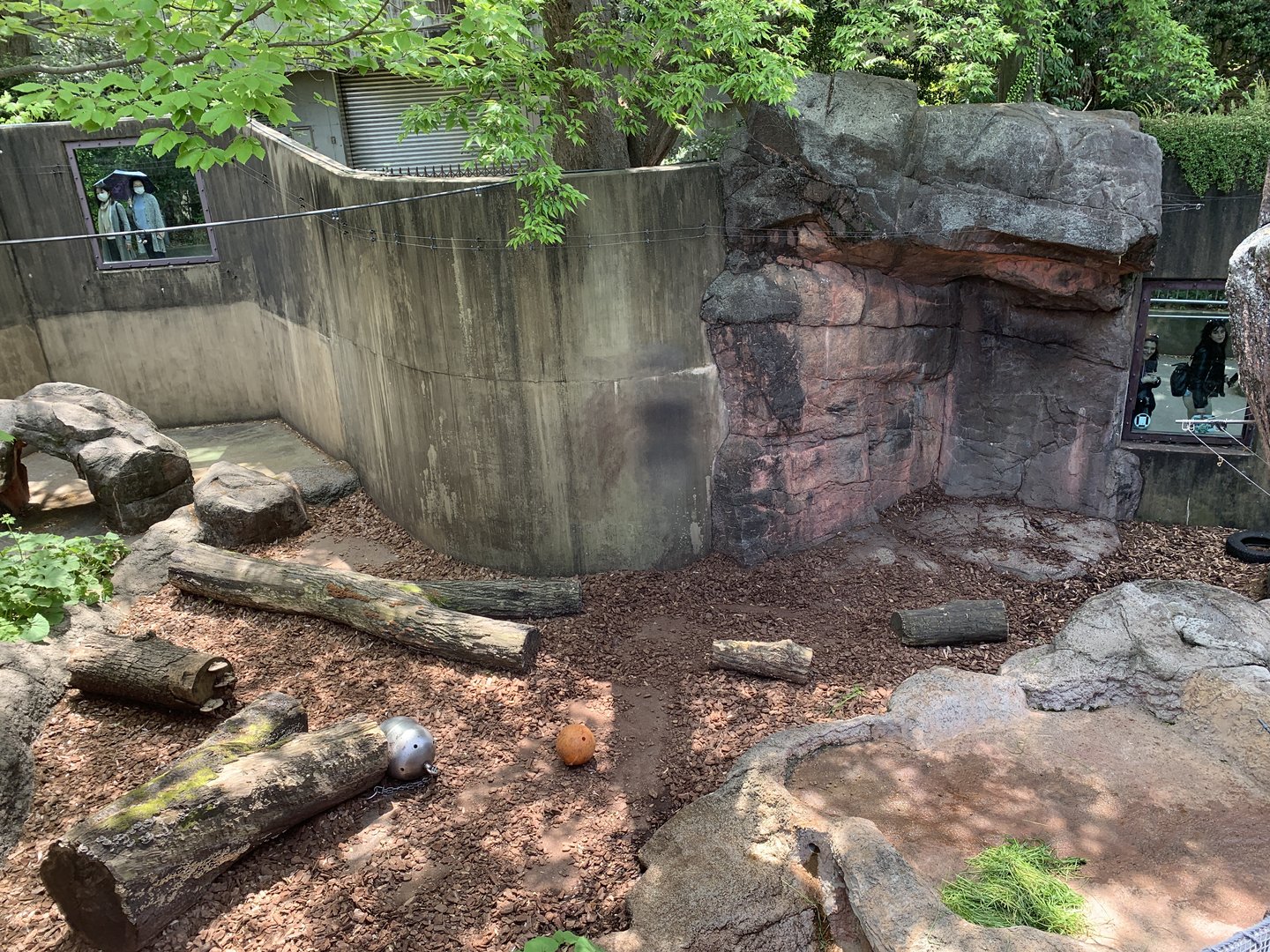 Hokkaido Brown Bear Exhibit