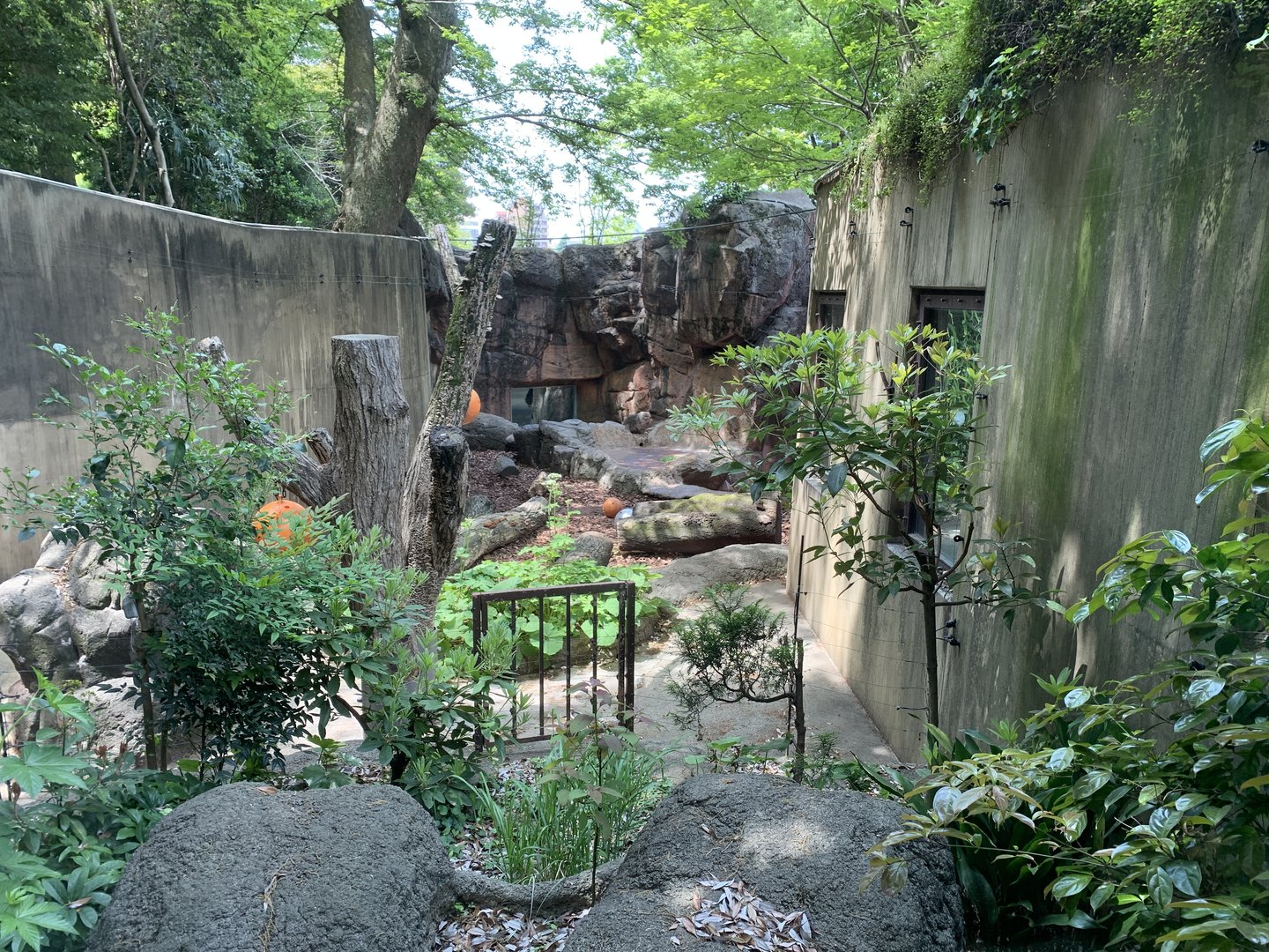 Hokkaido Brown Bear Exhibit