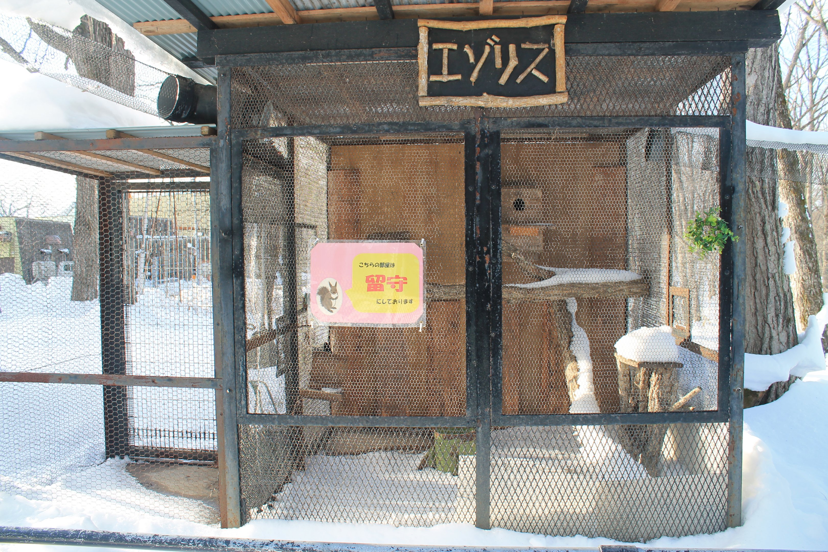 Hokkaido Squirrel cage, Kushiro Zoo