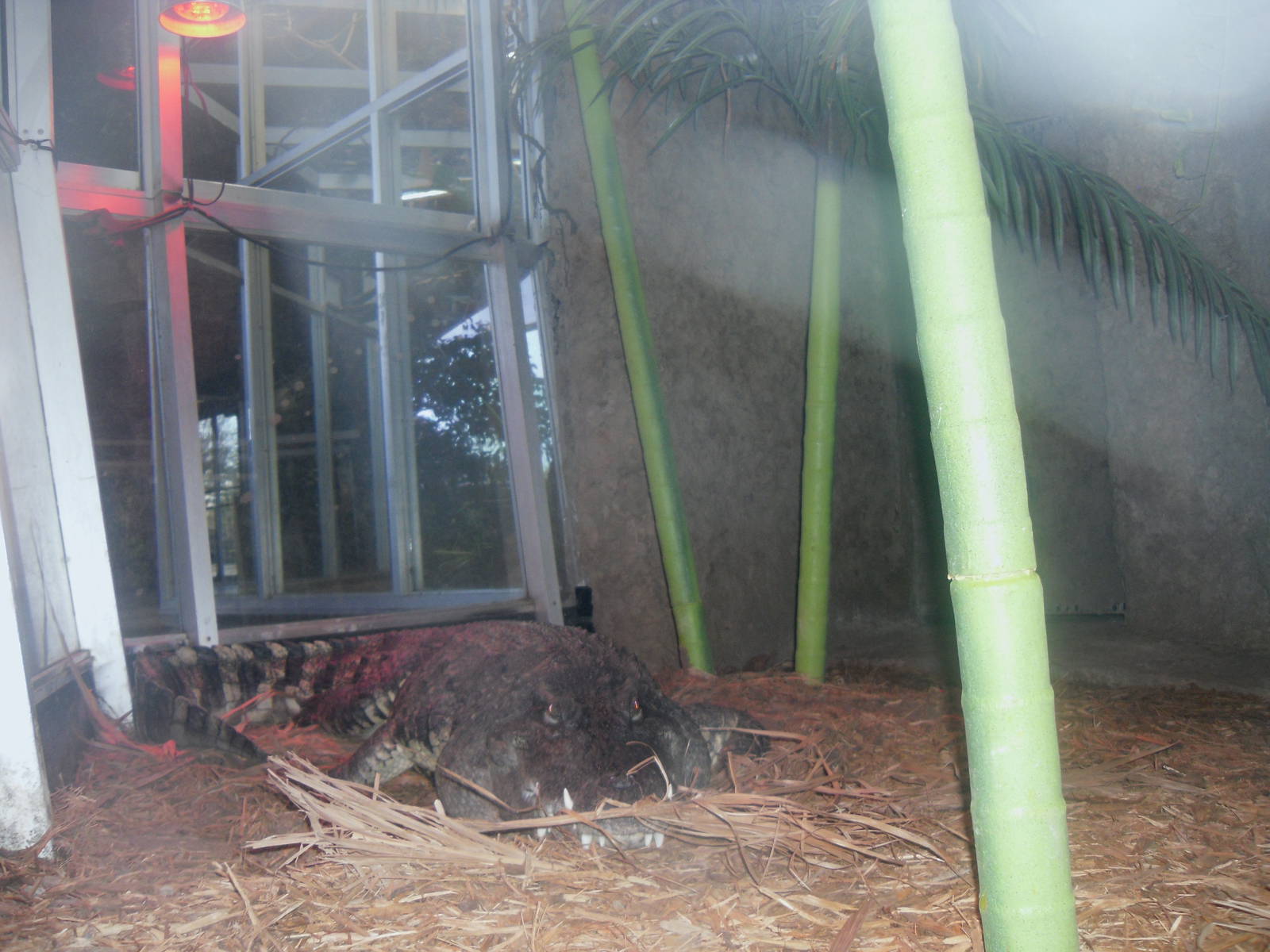 Holden Museum of Living Reptiles