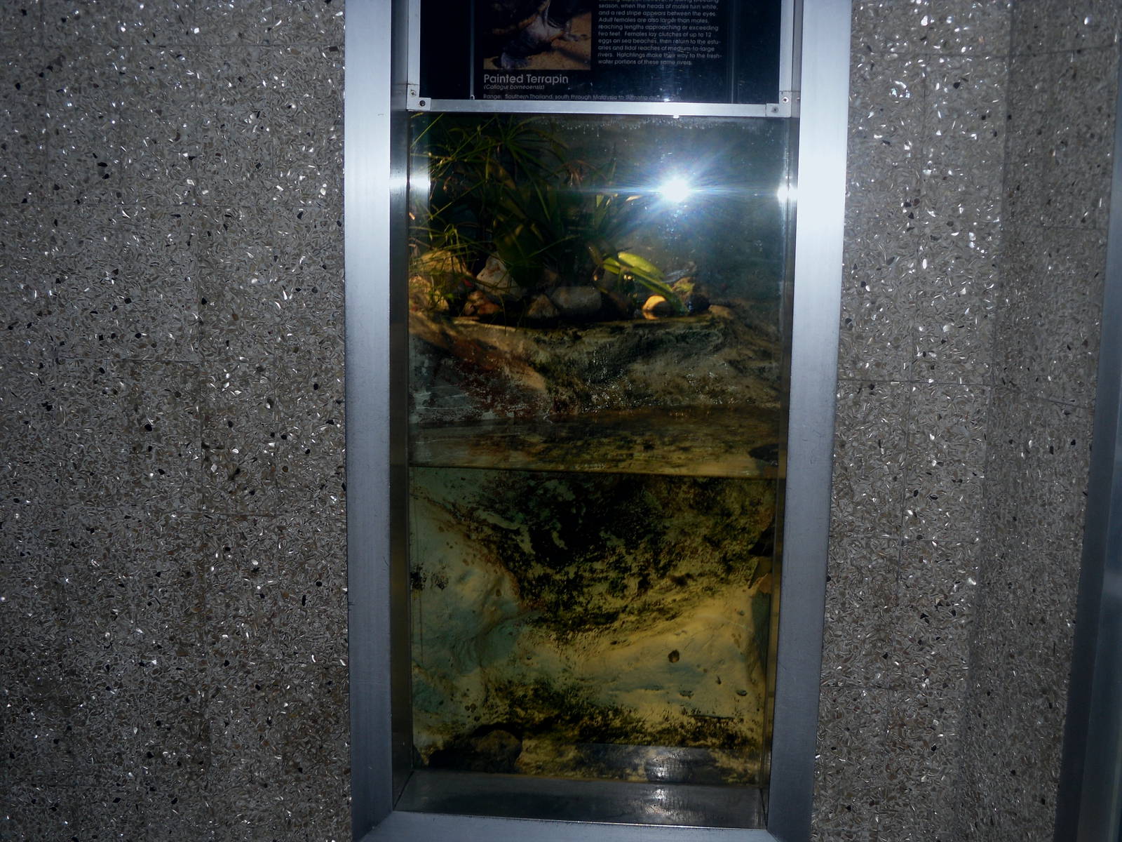 Holden Museum of Living Reptiles