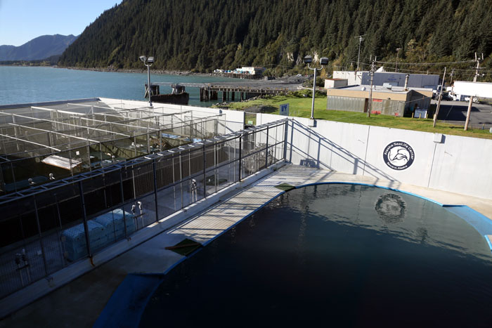 Holding and rehabilitation pens