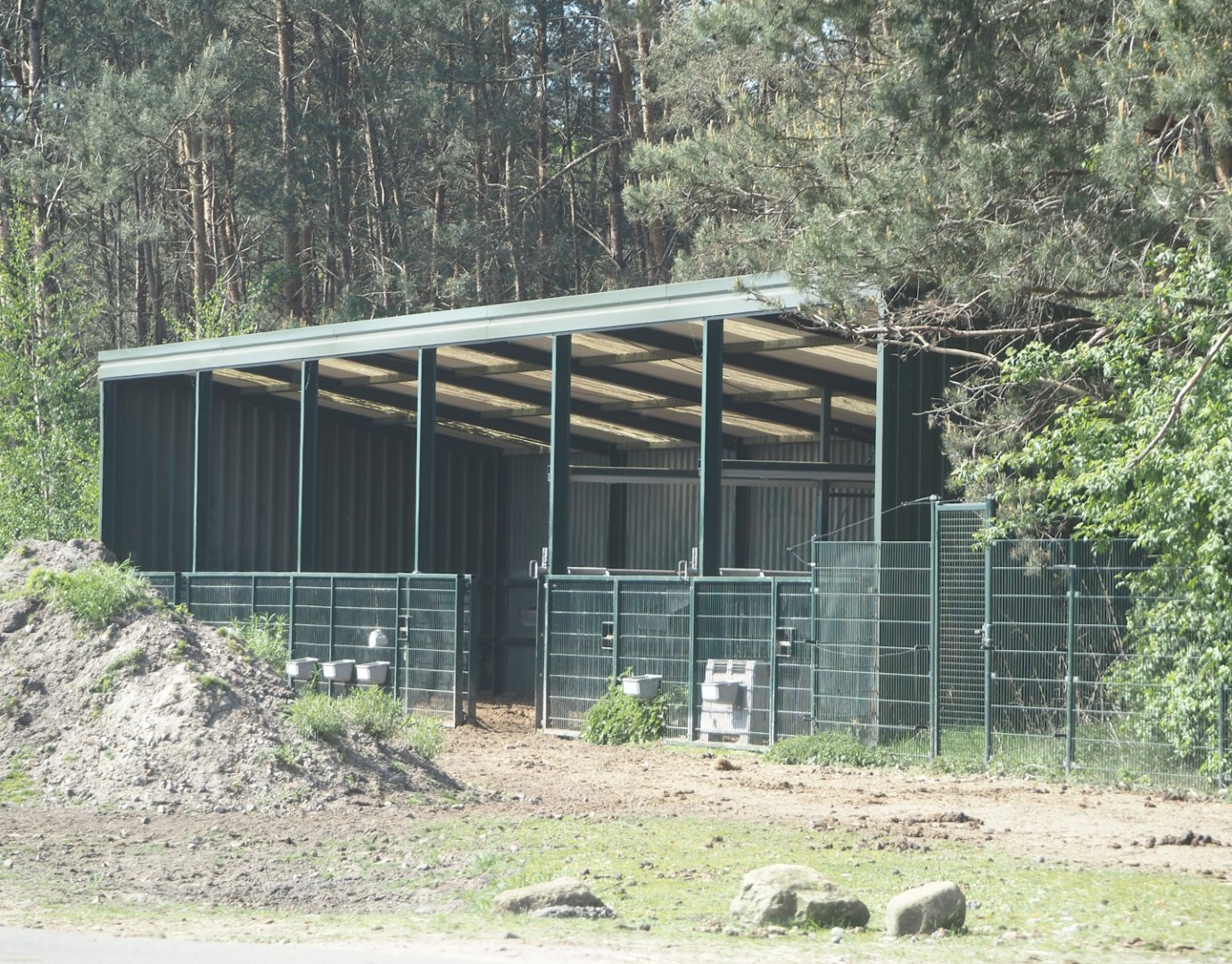 Holding and shelter for Bactrian camels and Przewalski's horses, 2025-04-30