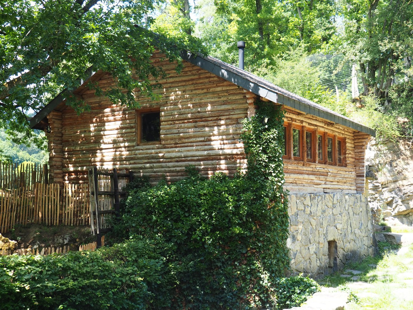 Holding and viewing building original brown bear exhibit, 2020-07-12