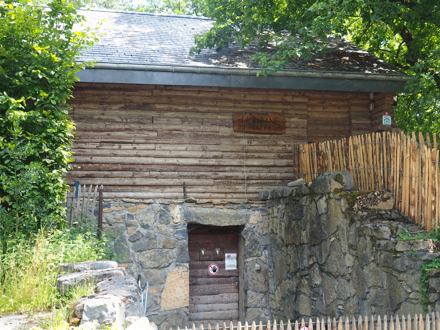Holding and viewing building original brown bear exhibit, 2020-07-12