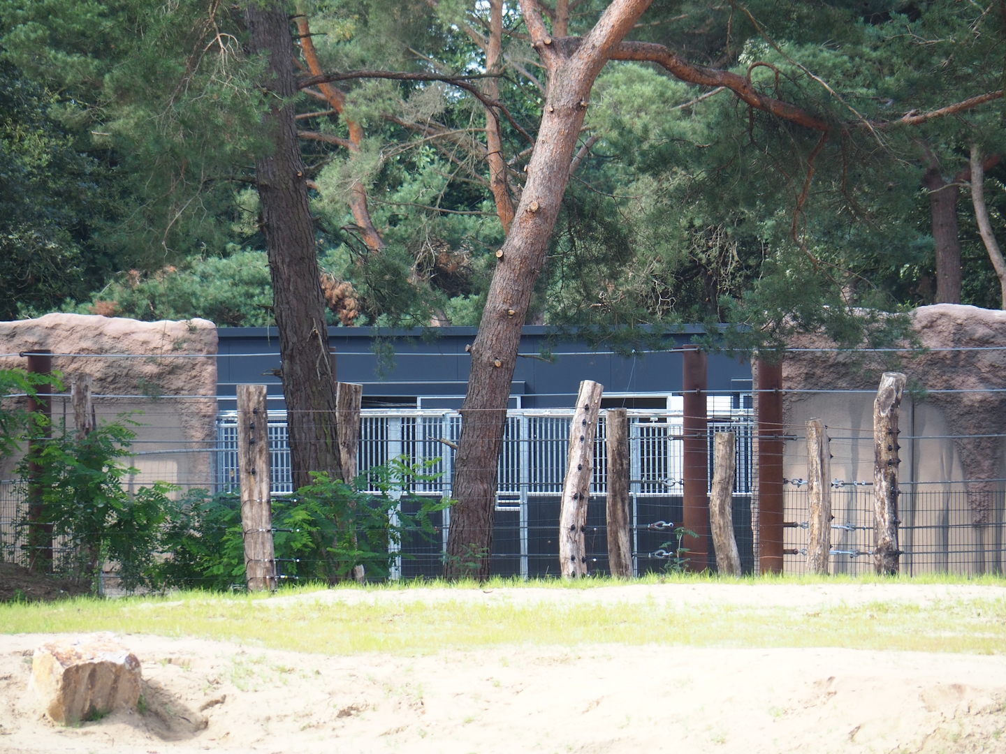 Holding area and building for African elephant valley antelopes, 2023-08-15