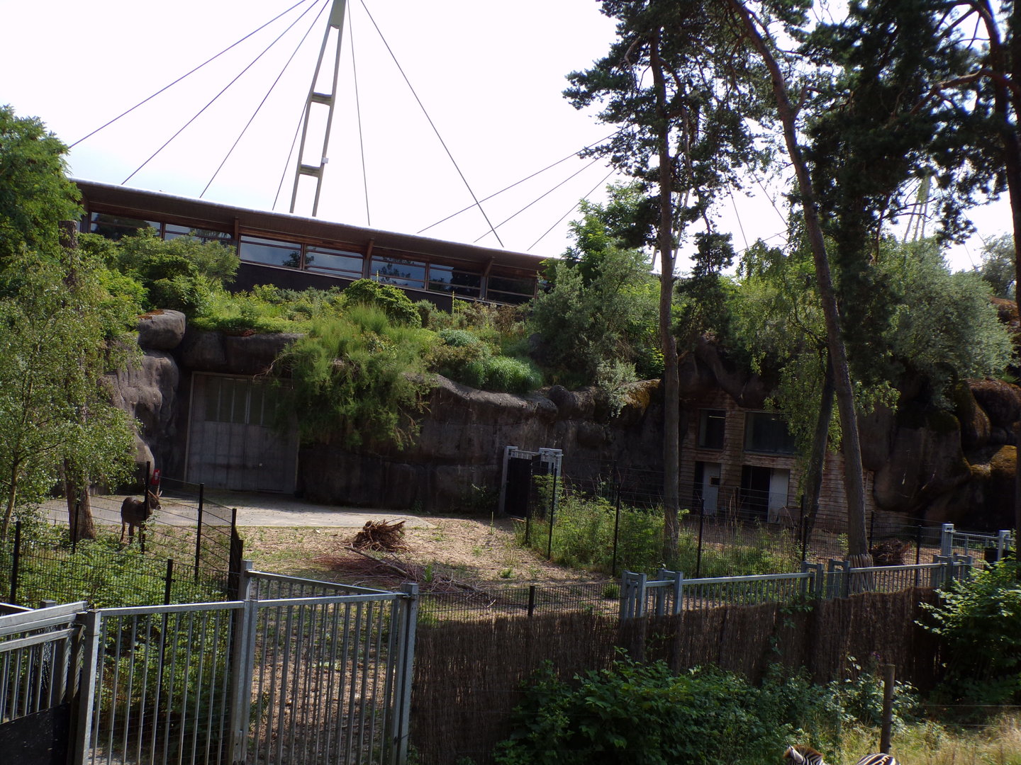 Holding areas in African savanna 6.7.23