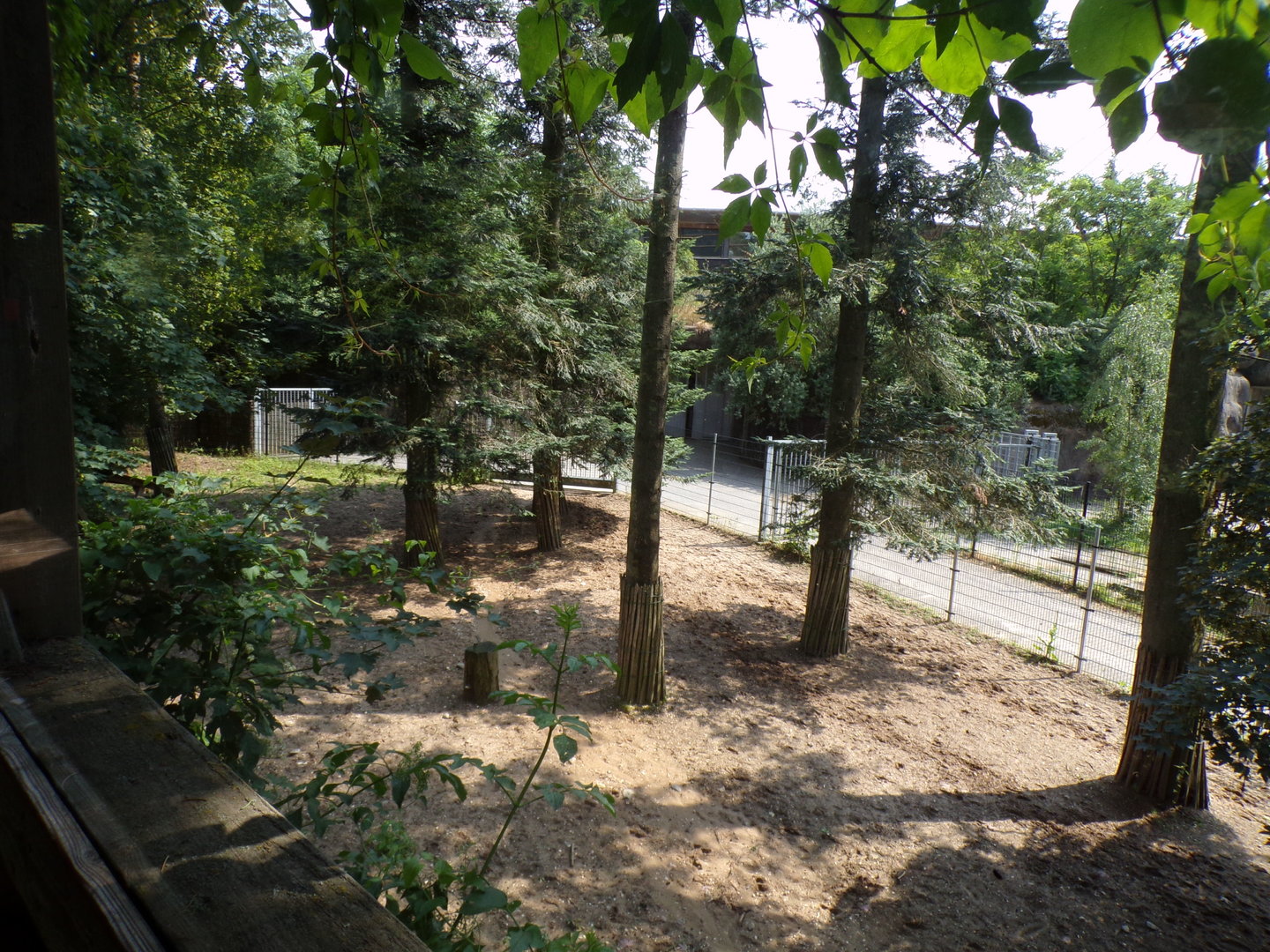 Holding areas in African savanna 6.7.23