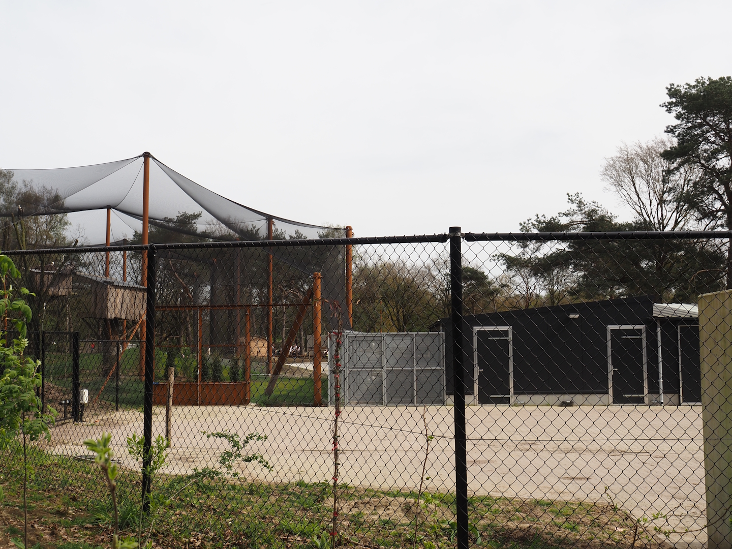 Holding aviaries and holding building for Secretary bird and Vulture aviary, 2024-04-06