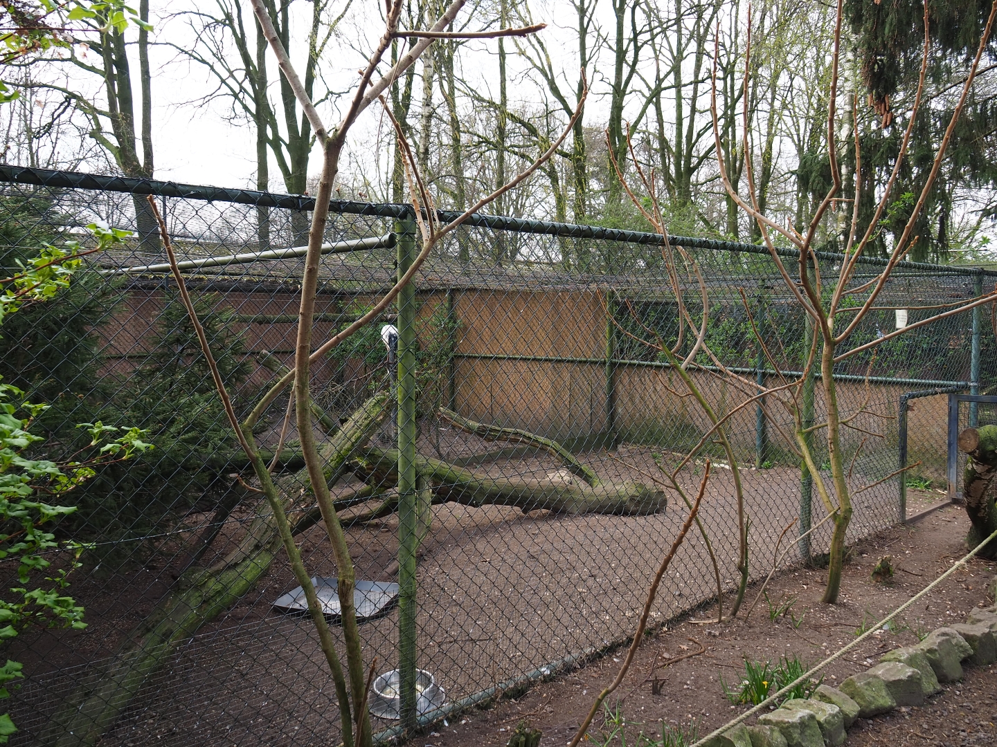 Holding aviary for free-roaming helmeted guineafowl - With sacred ibis aviary behind it, 2019-04-06