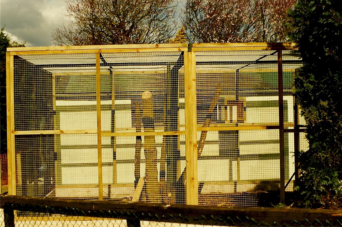 Holding cage for Lemur island 20th March 1999