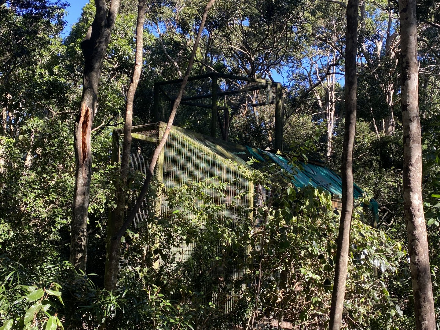 Holding cage for new primates