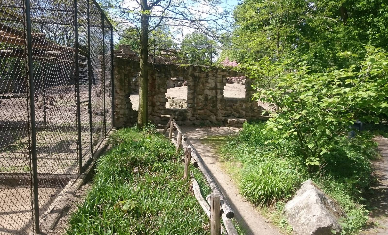 Holding cages and enclosure Geladas