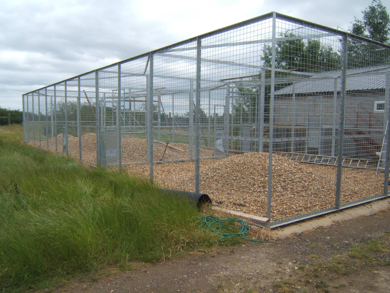 Holding cages for the Malayan Tigers