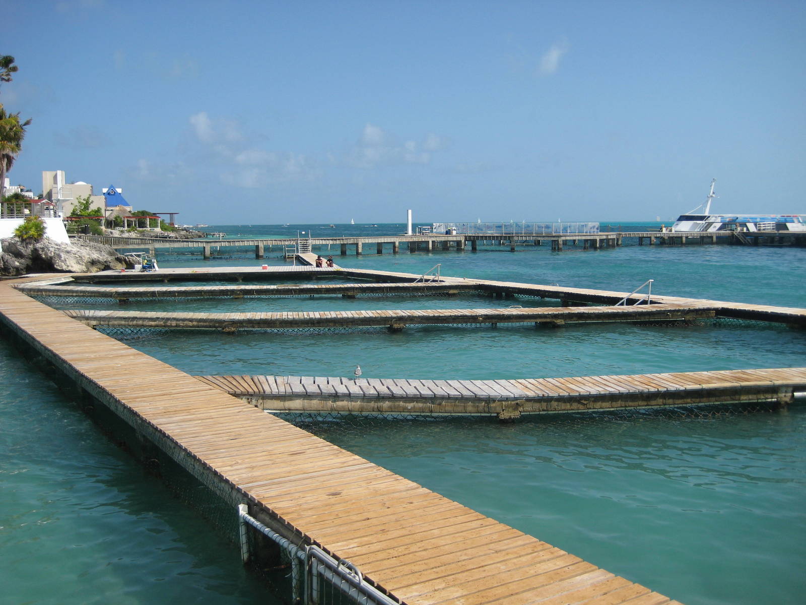 Holding pens for Dolphins