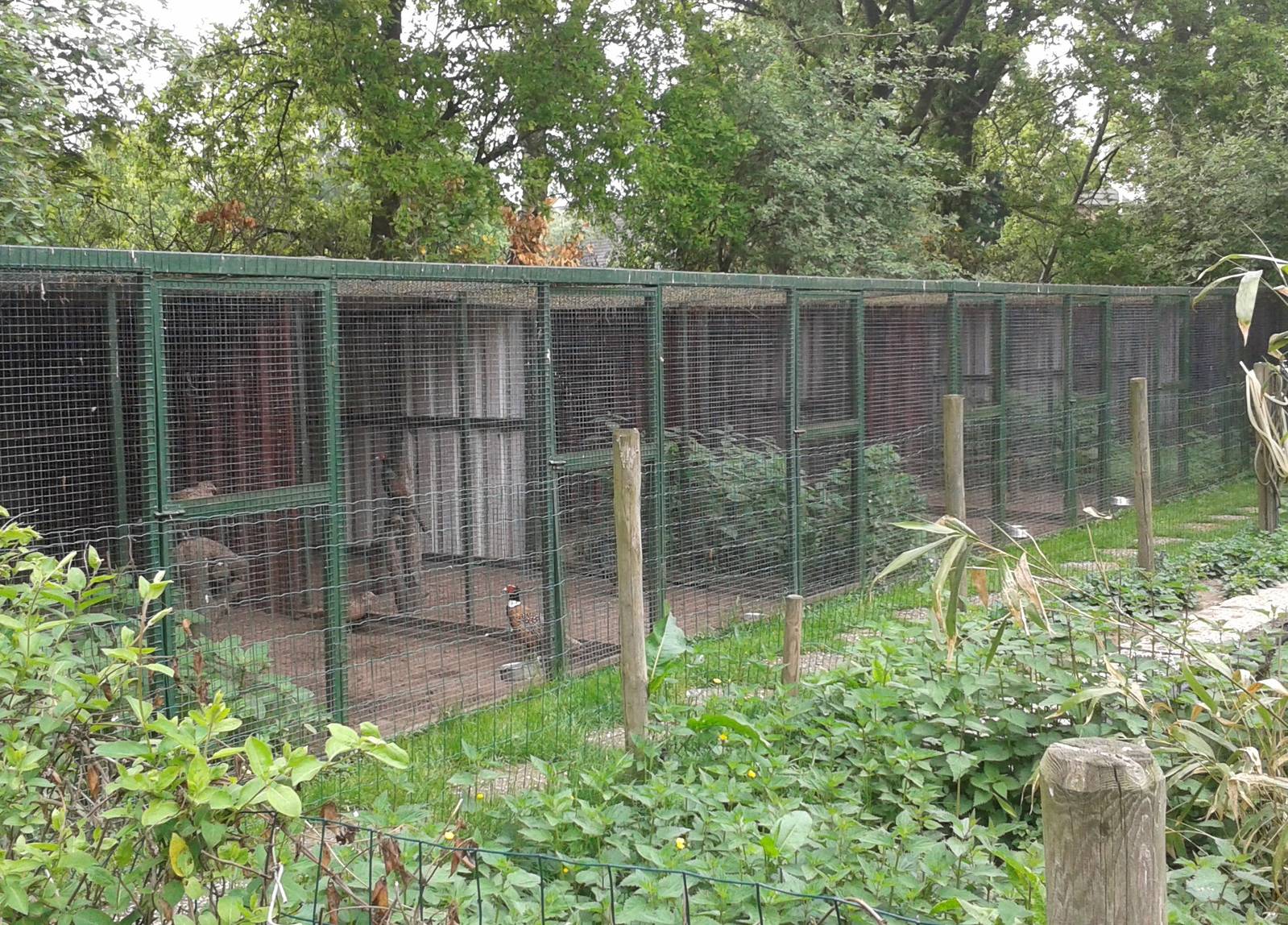 Holding pens for 'surplus' animals