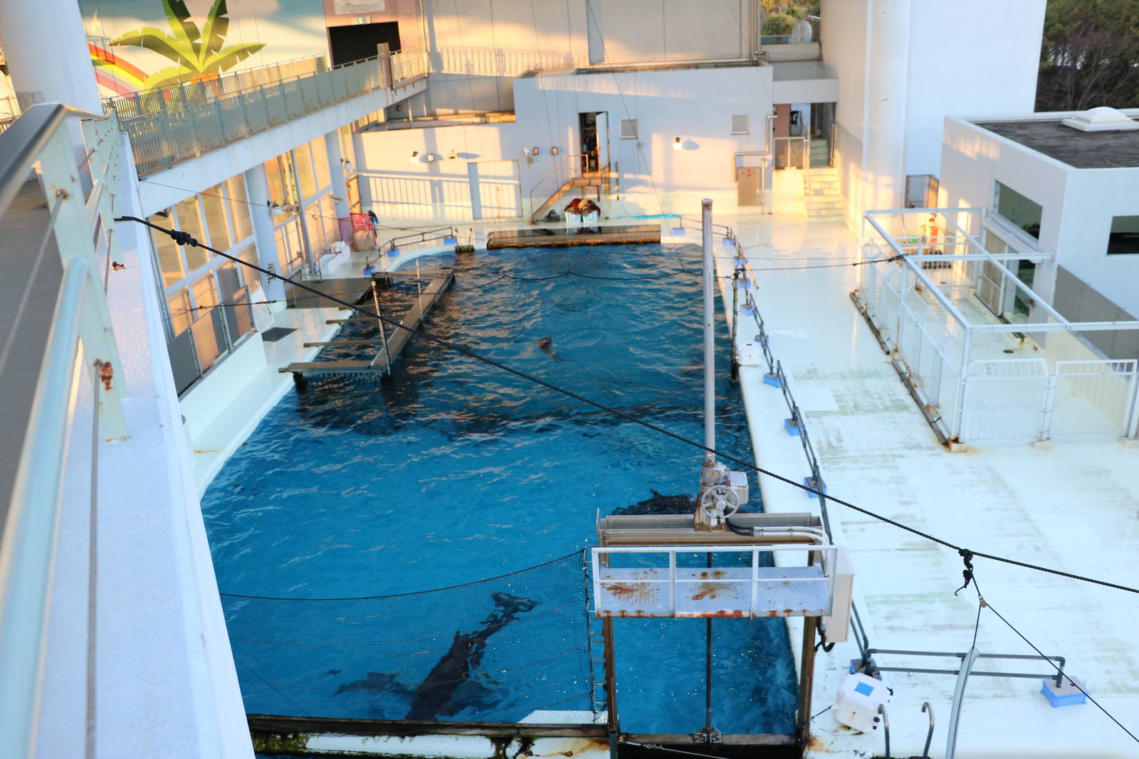 Holding pools for show cetaceans, February 2016