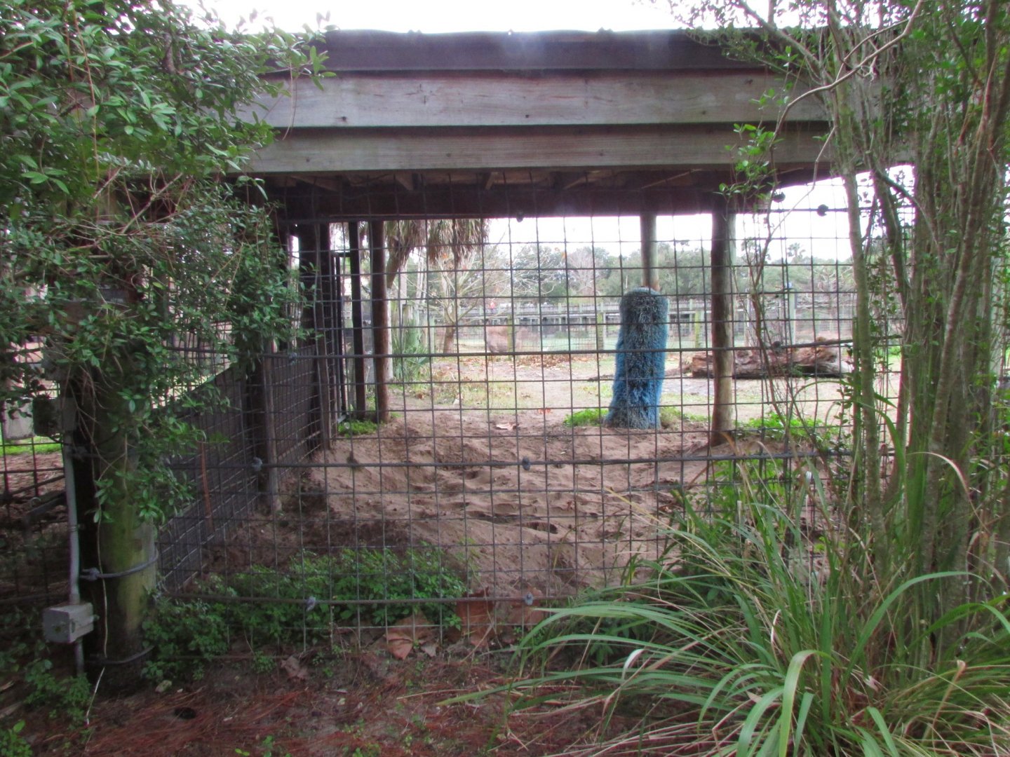Holding Yard For White Rhino