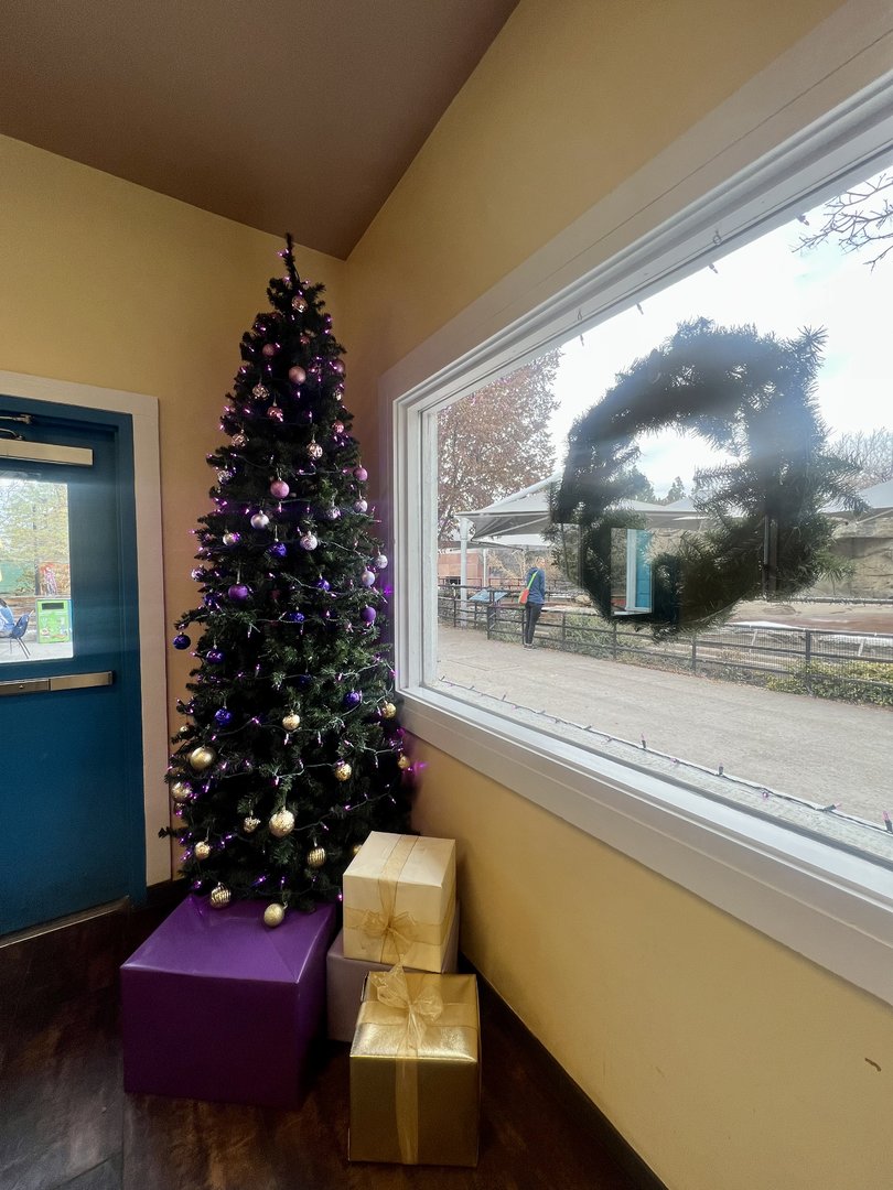 Holiday Decorations in the Cafe