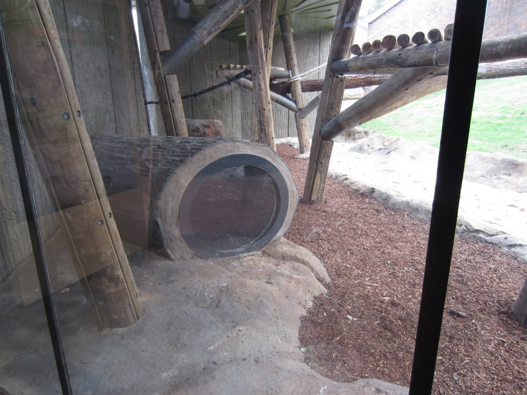 Hollow log for children in Chimp exhibit