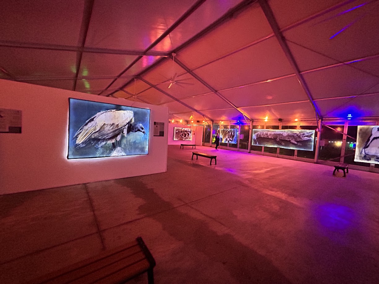 Holocene Art Exhibit