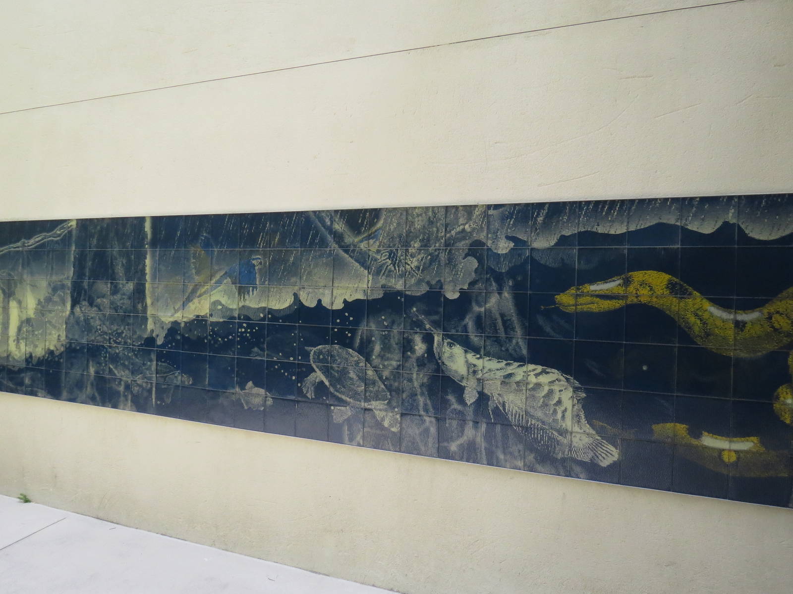 Holographic(?) artwork - Amazon and beyond, March 2015