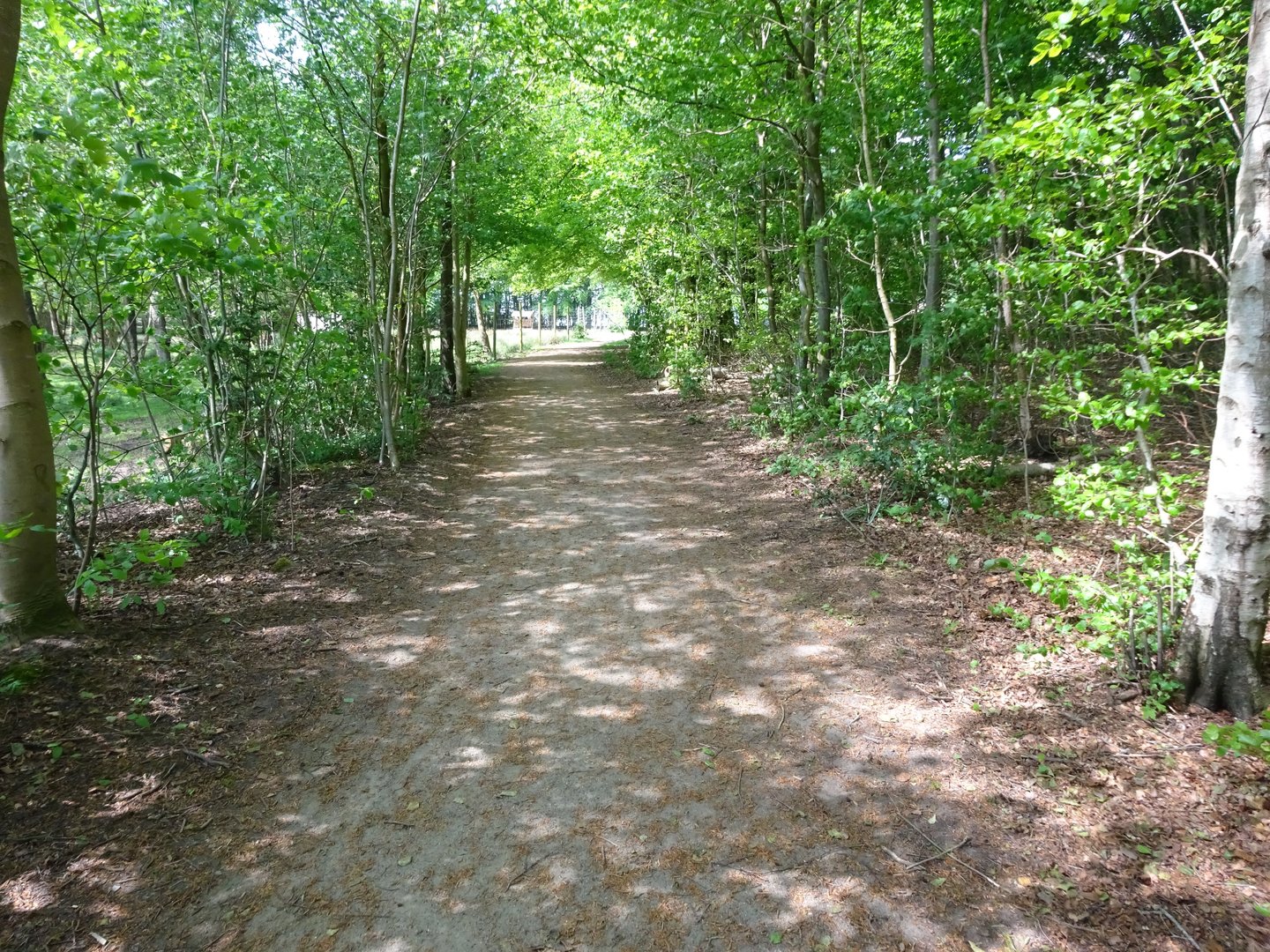 Holsted Anlæg - General view
