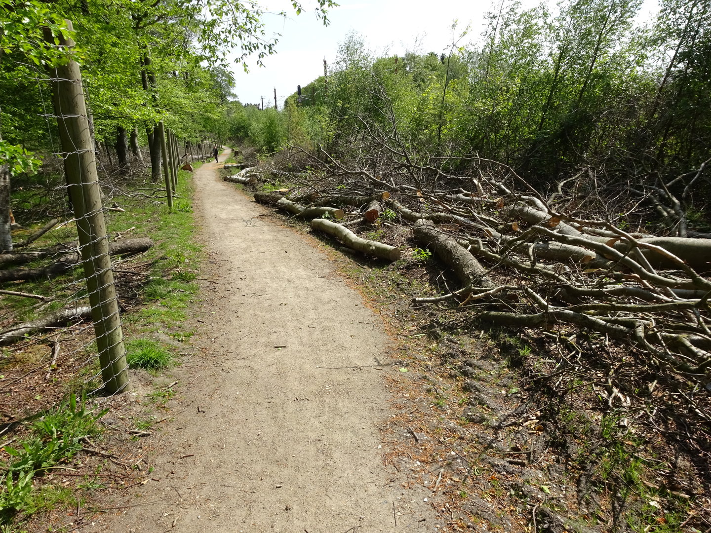 Holsted Anlæg - General view
