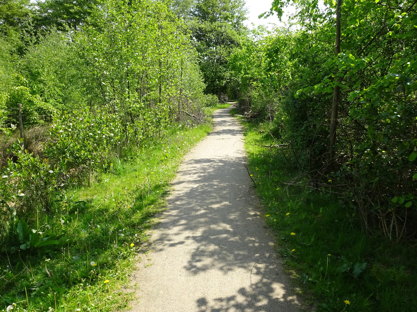 Holsted Anlæg - General view
