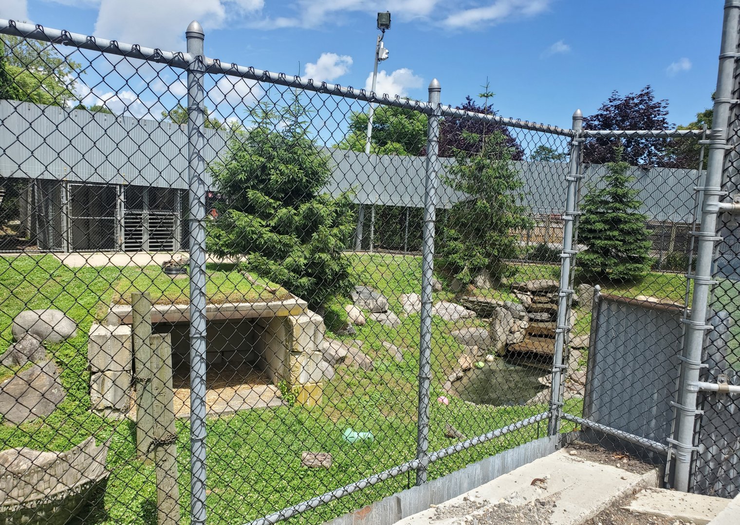 Holtsville Wildlife & Ecology Center (2022) - American Black Bear enclosure