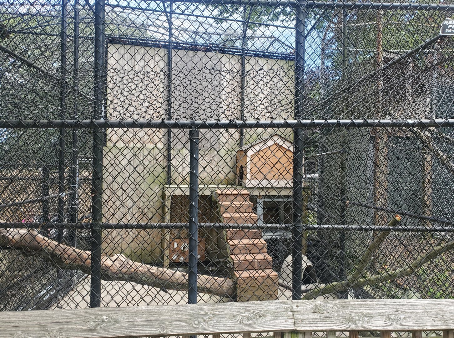 Holtsville Wildlife & Ecology Center (2022) - Arctic Fox enclosure